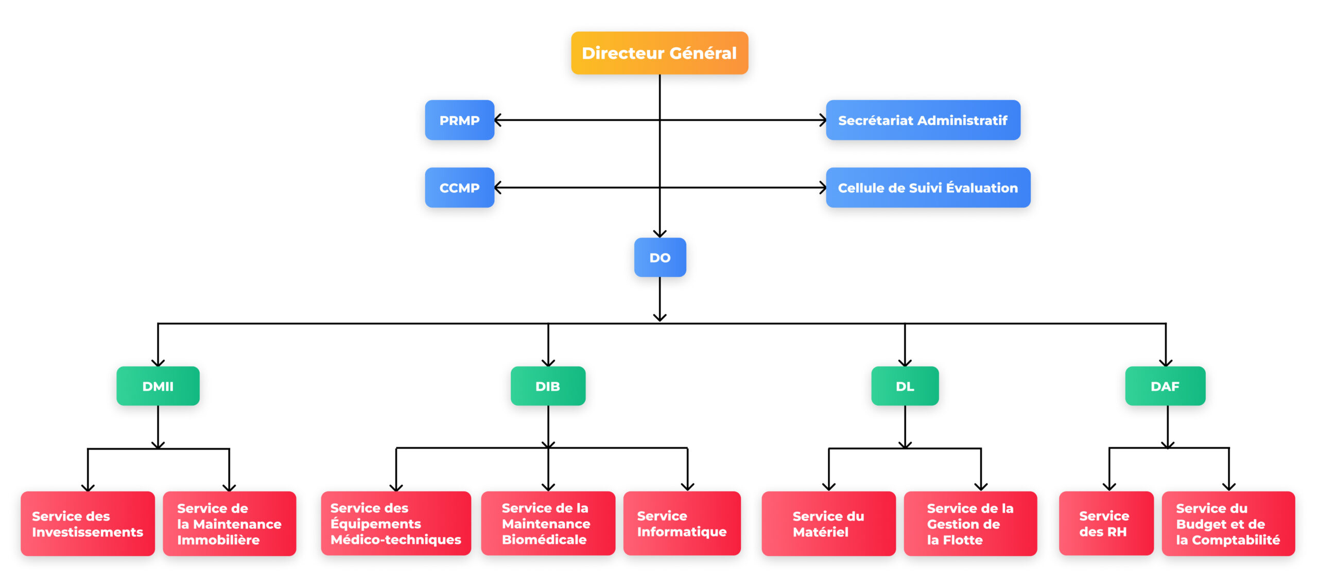 image de l'organigramme