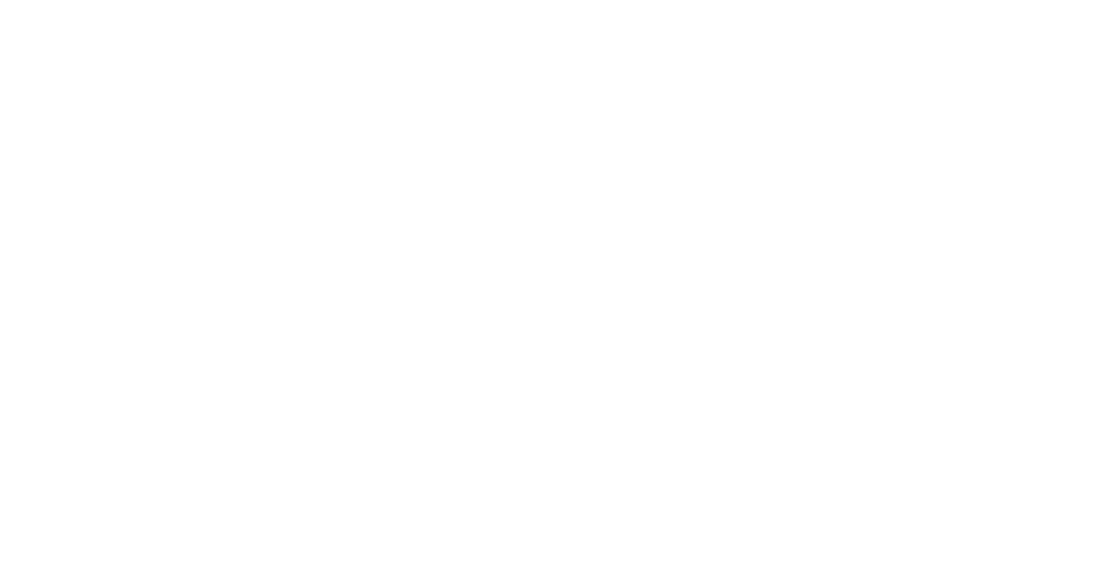 Logo ANMH
